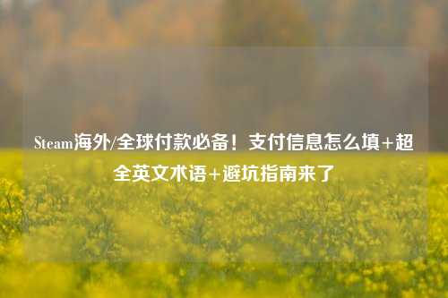 Steam海外/全球付款必备!支付信息怎么填+超全英文术语+避坑指南来了