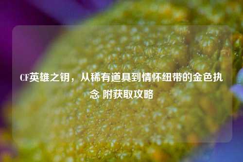 CF英雄之钥，从稀有道具到情怀纽带的金色执念 附获取攻略