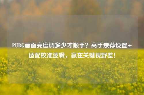 PUBG画面亮度调多少才顺手？高手亲荐设置+适配校准逻辑，赢在关键视野差！