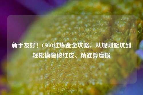 新手友好!CSGO红炼金全攻略,从规则避坑到轻松摸隐秘红皮、精准算磨损
