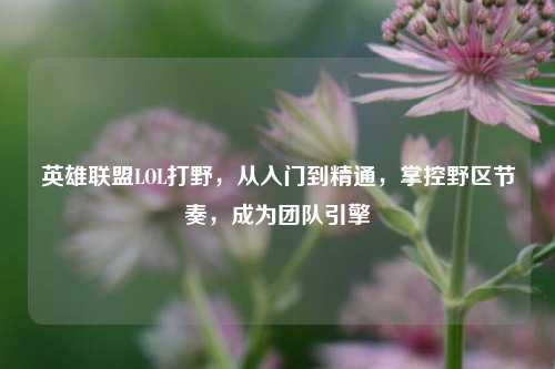 英雄联盟LOL打野，从入门到精通，掌控野区节奏，成为团队引擎