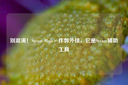 别混淆!Steam Mojo≠作弊外挂,它是Steam辅助工具