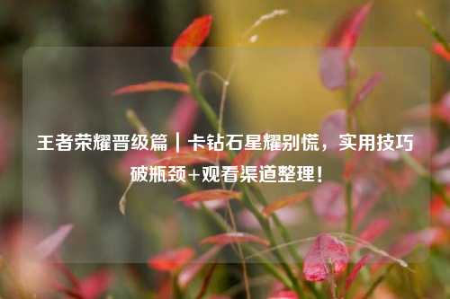 王者荣耀晋级篇｜卡钻石星耀别慌，实用技巧破瓶颈+观看渠道整理！