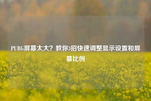 PUBG屏幕太大？教你3招快速调整显示设置和屏幕比例