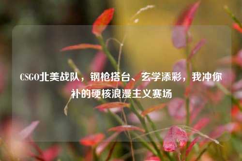 CSGO北美战队,钢枪搭台、玄学添彩,我冲你补的硬核浪漫主义赛场