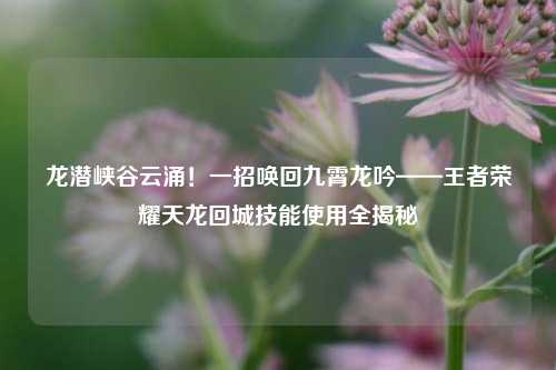 龙潜峡谷云涌!一招唤回九霄龙吟——王者荣耀天龙回城技能使用全揭秘