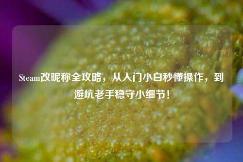 Steam改昵称全攻略，从入门小白秒懂操作，到避坑老手稳守小细节！