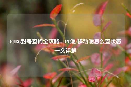 PUBG封号查询全攻略，PC端/移动端怎么查状态一文详解
