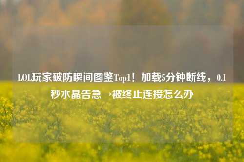 LOL玩家破防瞬间图鉴Top1!加载5分钟断线,0.1秒水晶告急→被终止连接怎么办
