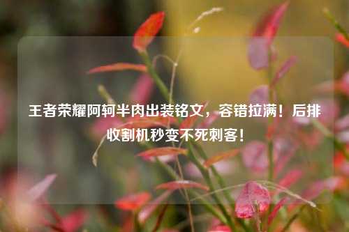 王者荣耀阿轲半肉出装铭文,容错拉满!后排收割机秒变不死刺客!