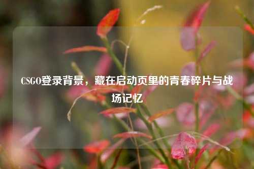 CSGO登录背景，藏在启动页里的青春碎片与战场记忆