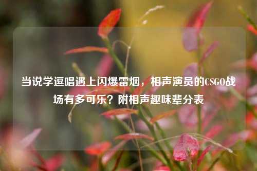 当说学逗唱遇上闪爆雷烟,相声演员的CSGO战场有多可乐?附相声趣味辈分表