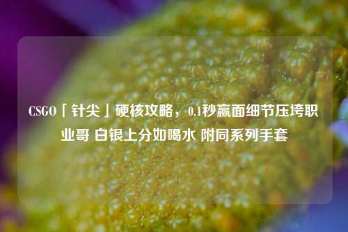 CSGO「针尖」硬核攻略，0.1秒赢面细节压垮职业哥 白银上分如喝水 附同系列手套