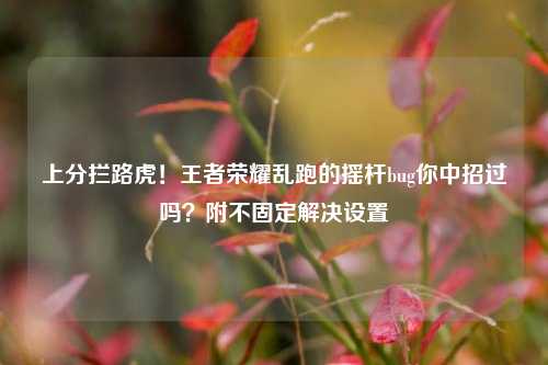 上分拦路虎!王者荣耀乱跑的摇杆bug你中招过吗?附不固定解决设置