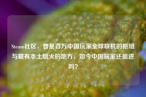 Steam社区，曾是百万中国玩家全球联机的枢纽与藏有本土烟火的地方，如今中国玩家还能进吗？