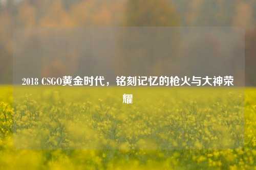 2018 CSGO黄金时代,铭刻记忆的枪火与大神荣耀
