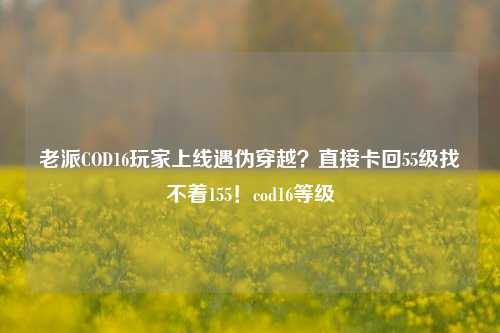 老派COD16玩家上线遇伪穿越？直接卡回55级找不着155！cod16等级
