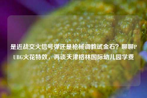 是近战交火信号弹还是枪械调教试金石？聊聊PUBG火花特效，再谈天津格林国际幼儿园学费