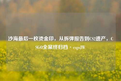 沙海最后一枚烫金印,从拆弹报告到CS2遗产,CSGO全案终归档·csgoJW