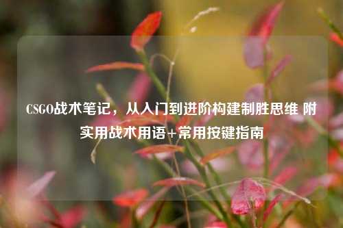 CSGO战术笔记,从入门到进阶构建制胜思维 附实用战术用语+常用按键指南