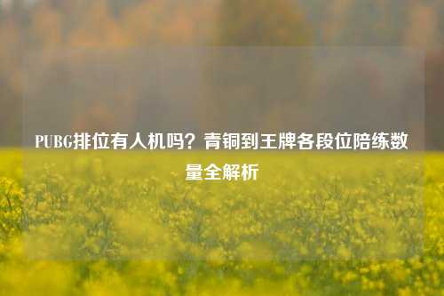 PUBG排位有人机吗？青铜到王牌各段位陪练数量全解析