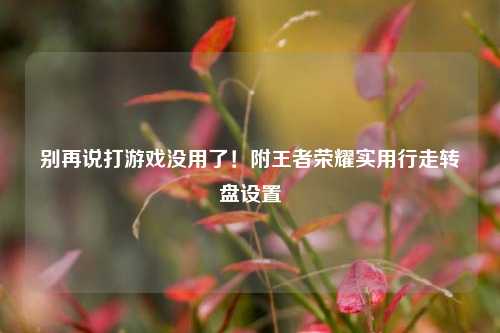 别再说打游戏没用了！附王者荣耀实用行走转盘设置