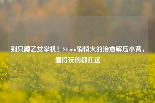 别只蹲乙女掌机！Steam悄悄火的治愈解压小窝，值得玩的都在这