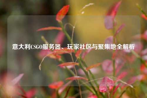 意大利CSGO服务器、玩家社区与聚集地全解析