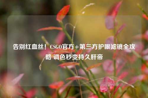 告别红血丝！CSGO官方+第三方护眼滤镜全攻略 调色秒变持久肝帝