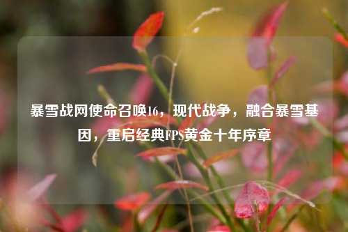 暴雪战网使命召唤16，现代战争，融合暴雪基因，重启经典FPS黄金十年序章