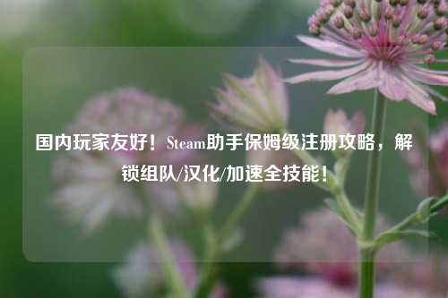 国内玩家友好！Steam助手保姆级注册攻略，解锁组队/汉化/加速全技能！