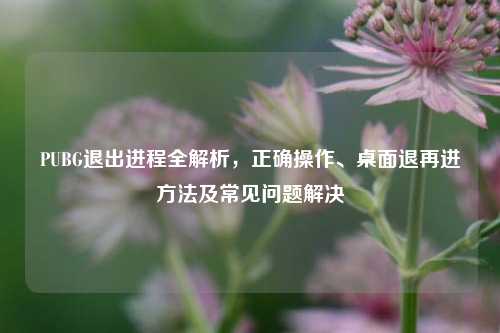 PUBG退出进程全解析,正确操作、桌面退再进方法及常见问题解决