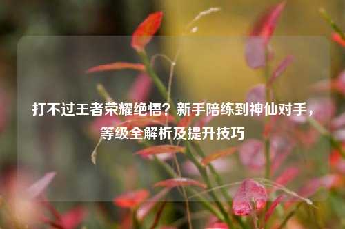 打不过王者荣耀绝悟？新手陪练到神仙对手，等级全解析及提升技巧