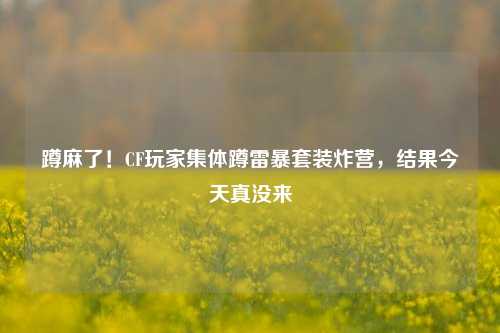 蹲麻了!CF玩家集体蹲雷暴套装炸营,结果今天真没来