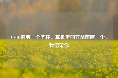 CSGO的另一个圣杯，耳机里的五杀前蹲一个，我们架你