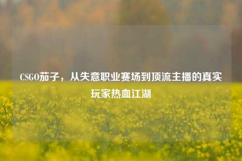 CSGO茄子，从失意职业赛场到顶流主播的真实玩家热血江湖