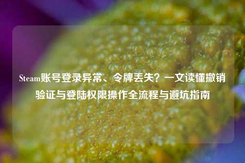 Steam账号登录异常、令牌丢失？一文读懂撤销验证与登陆权限操作全流程与避坑指南