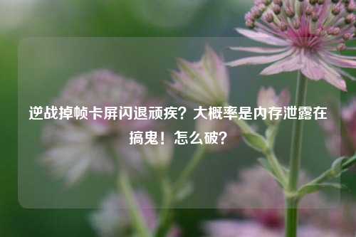 逆战掉帧卡屏闪退顽疾？大概率是内存泄露在搞鬼！怎么破？