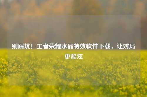 别踩坑!王者荣耀水晶特效软件下载,让对局更酷炫