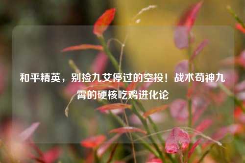 和平精英,别捡九艾停过的空投!战术苟神九霄的硬核吃鸡进化论