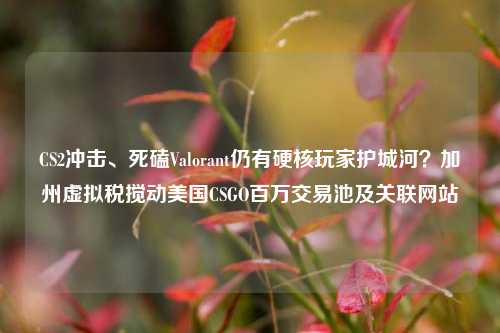 CS2冲击、死磕Valorant仍有硬核玩家护城河？加州虚拟税搅动美国CSGO百万交易池及关联网站