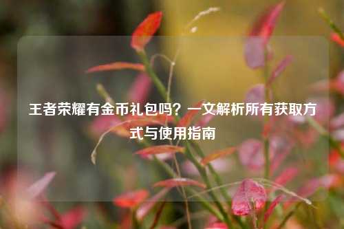 王者荣耀有金币礼包吗？一文解析所有获取方式与使用指南