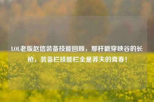 LOL老版赵信装备技能回顾,那杆戳穿峡谷的长枪,装备栏技能栏全是莽夫的青春!