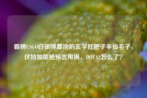 霸榜CSGO白银弹幕池的玄学扛把子半仙毛子,伏特加架枪预言甩锅,DOTA2怎么了?