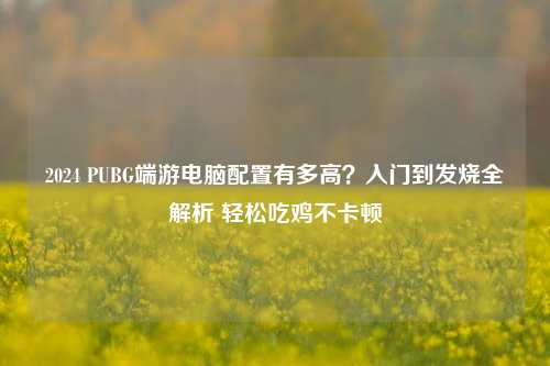 2024 PUBG端游电脑配置有多高?入门到发烧全解析 轻松吃鸡不卡顿