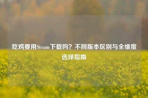 吃鸡要用Steam下载吗?不同版本区别与全维度选择指南