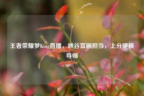 王者荣耀梦King直播,峡谷喜剧担当,上分硬核导师