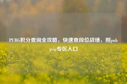 PUBG积分查询全攻略,快速查段位战绩,附pubgvip专区入口