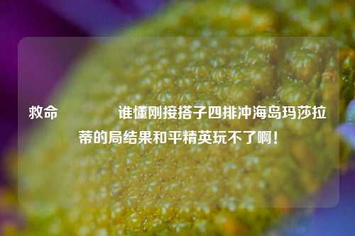 救命🆘谁懂刚接搭子四排冲海岛玛莎拉蒂的局结果和平精英玩不了啊!