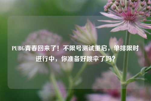 PUBG青春回来了!不限号测试重启,单排限时进行中,你准备好跳伞了吗?